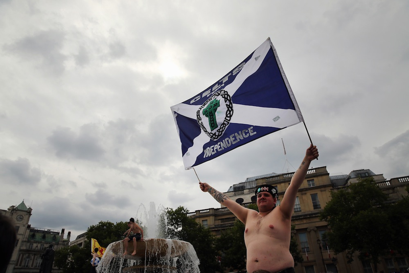 Illustration for article titled A Photo Tribute To Drunk Scottish Fans